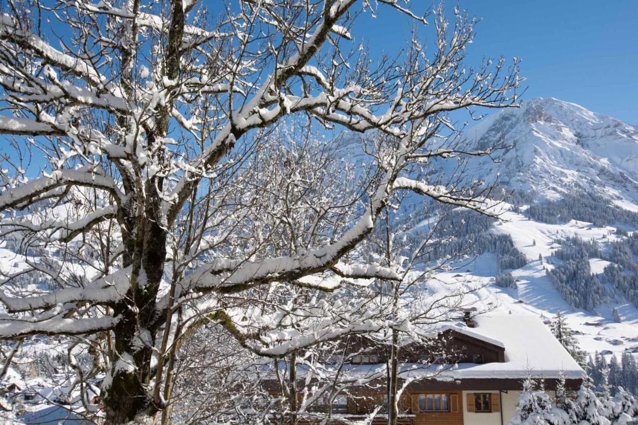 Ferienwohnung Senggi Adelboden Dış mekan fotoğraf